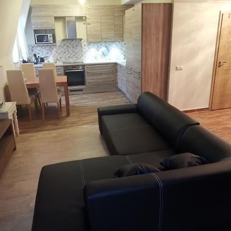 Hezky Byt U Hotela Thermal V Karlovych Varech Karlovy Vary Dış mekan fotoğraf